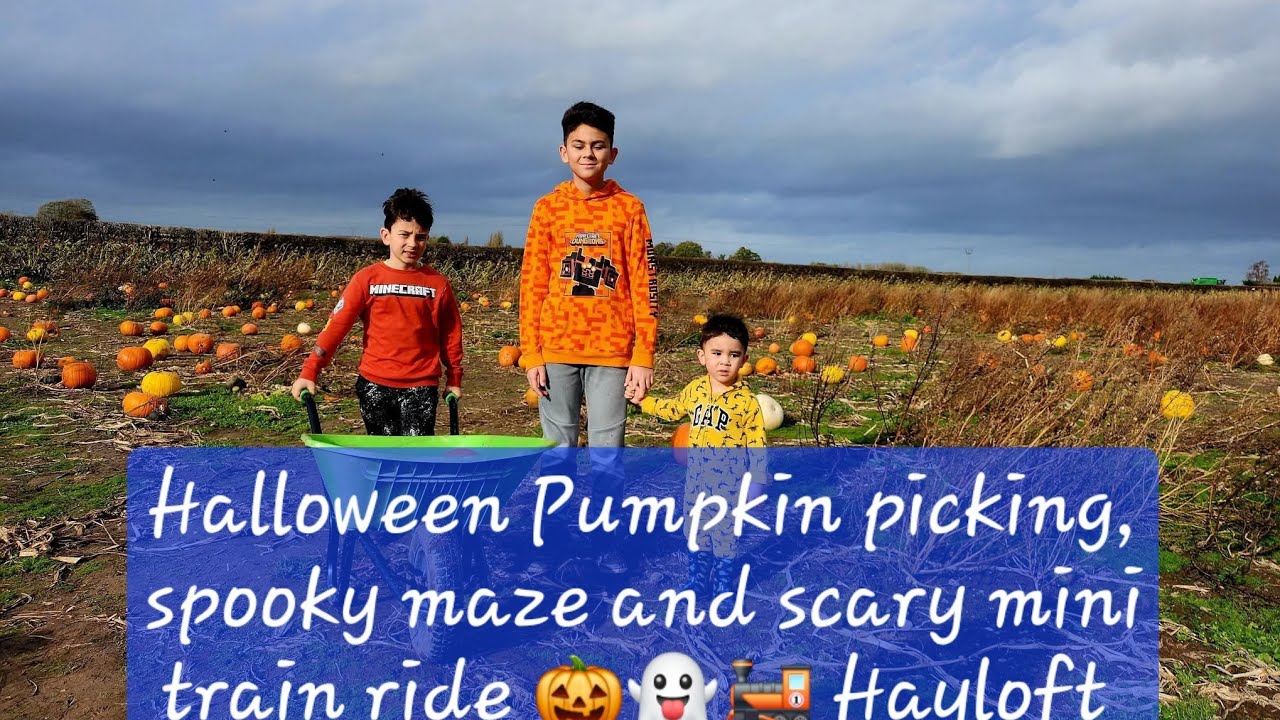 Halloween Pumpkin picking, Spooky Maze and Train in Hayloft Pumpkin Farm 🎃👻🕷☠️🚂