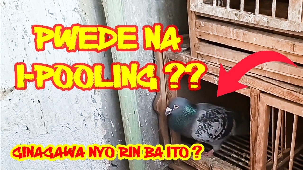 SUMMER TRAINING HANAP PAMOOLING + FEATHERING NG MGA YB !!