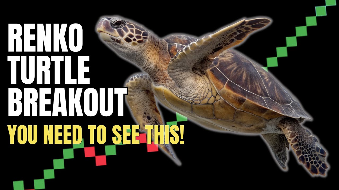 Торговая стратегия Turtle Breakout Renko: можно ли заработать? (Проверьте результаты!)