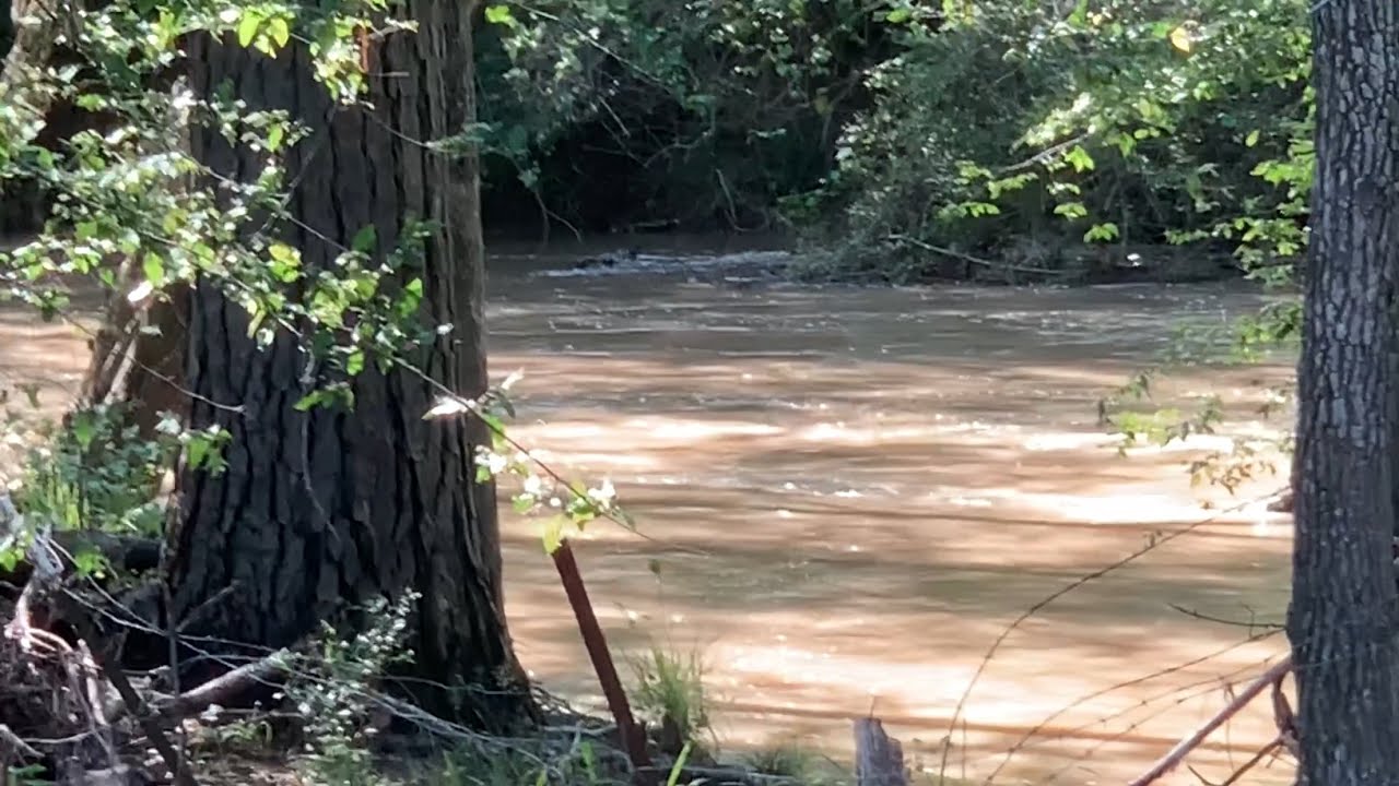 Will the River Flood