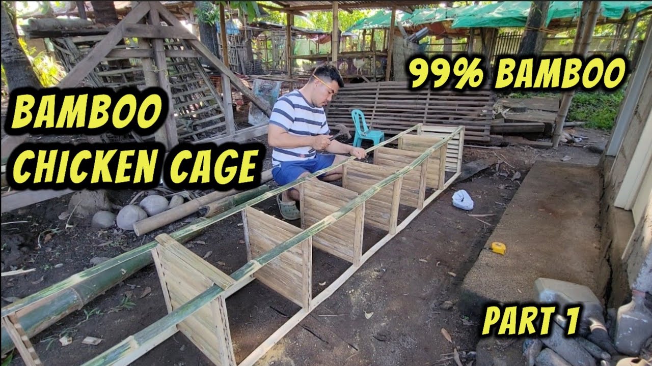 DIY Bamboo chicken cage (99% bamboo)