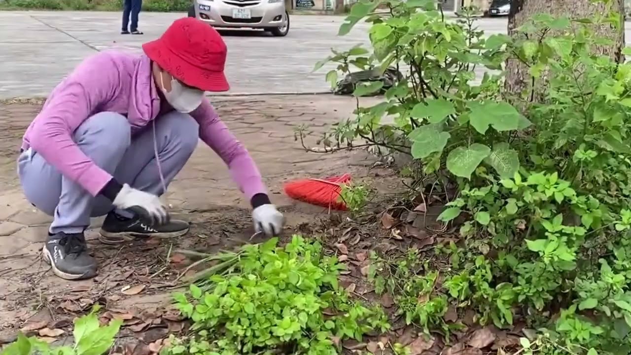 Volunteer to clean up overgrown sidewalks and smelly garbage using rudimentary tools