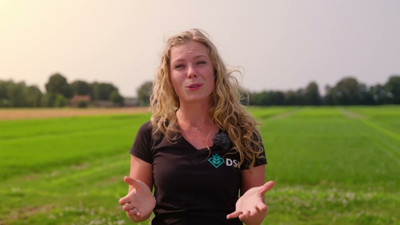 DSV zaden | Bedrijfsinfo Femke Havelaar