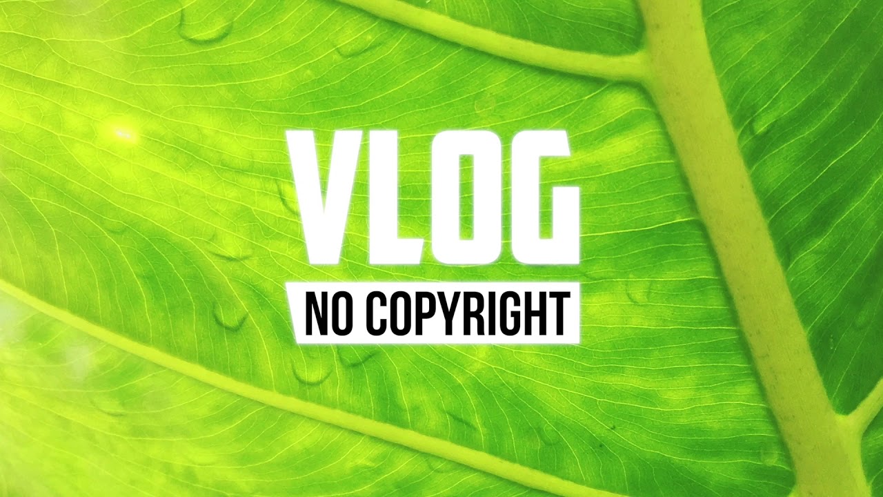 LiQWYD - Young Love (Vlog No Copyright Music)