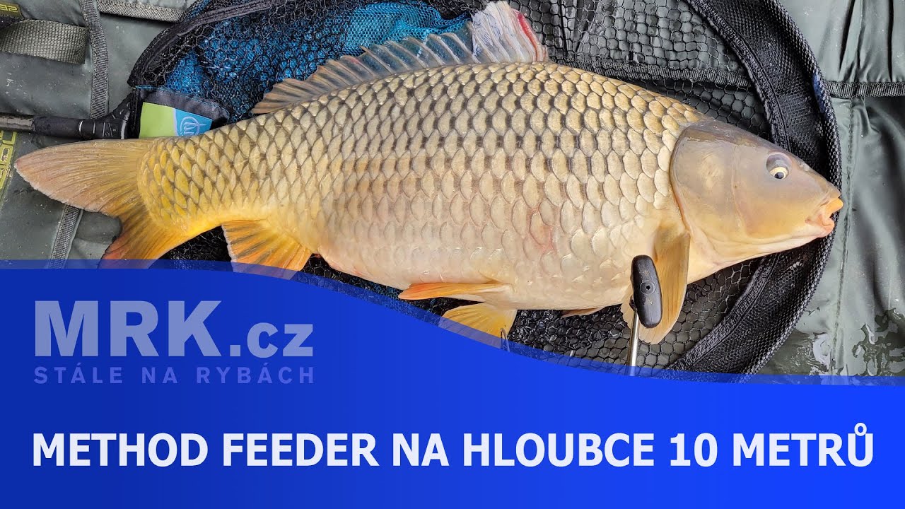 Methodfeeder na hloubce 10 metrů - jak na kapry mezi mnoha cejny