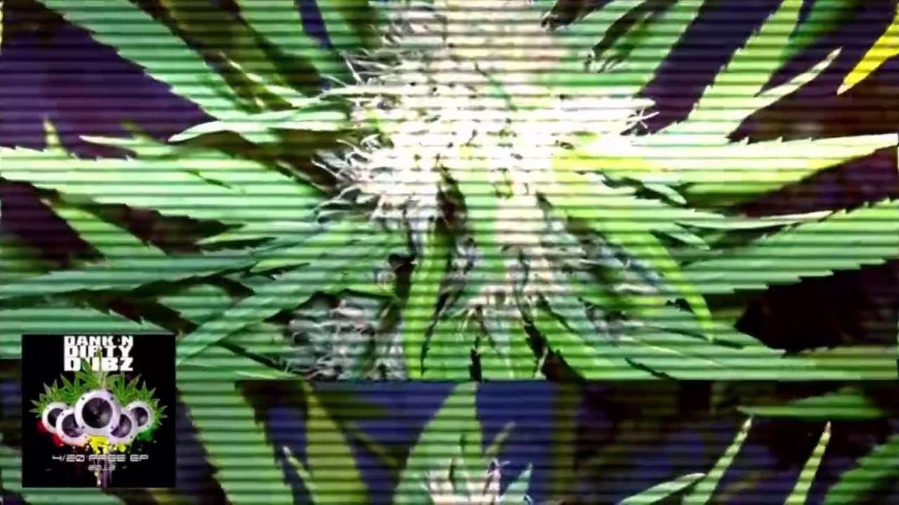 Enigma Dubz Ft Ghette-High Grade🌿🌿 #thc #highgrade #ganja #indica #roots #dub #dubstep # bass