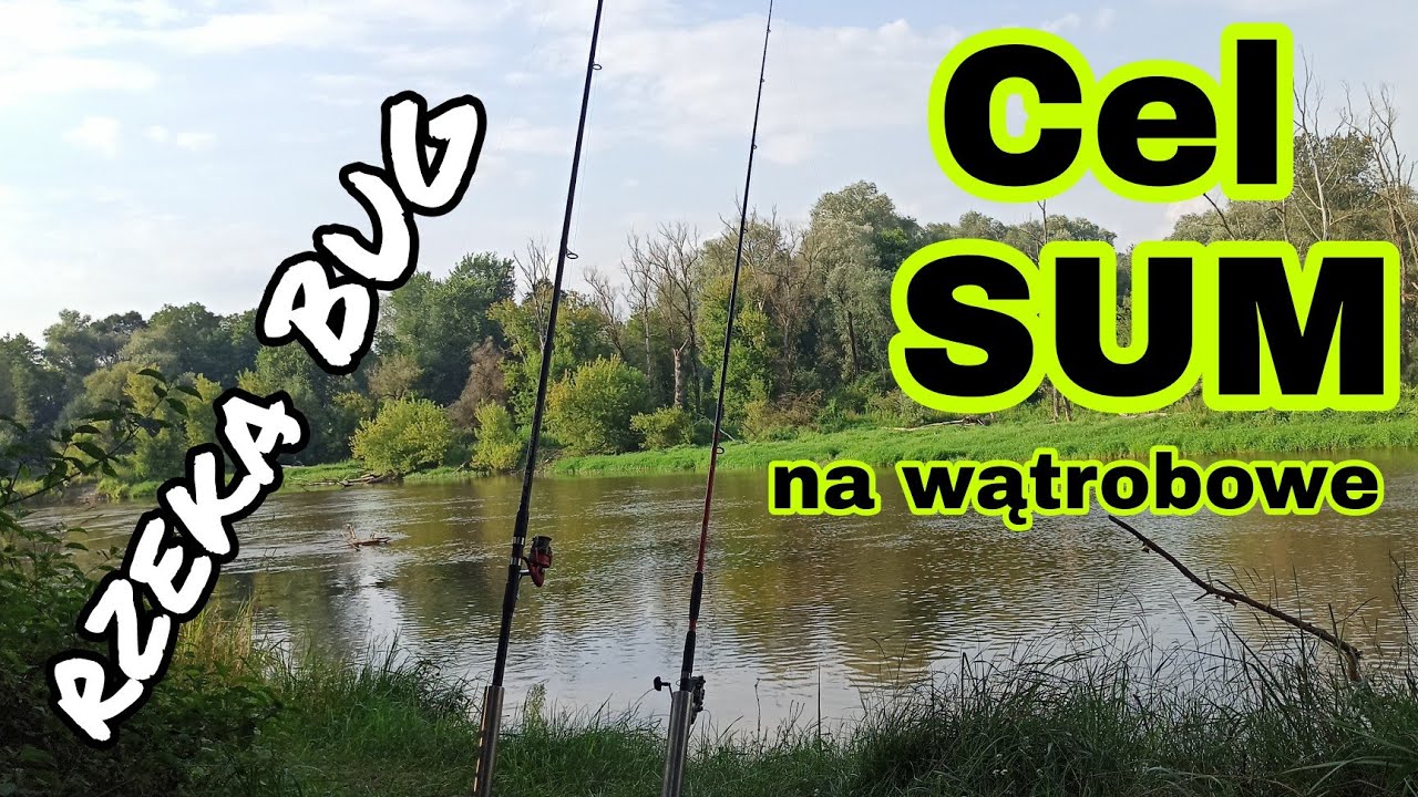 WYPAD NAD RZEKĘ  BUG , CEL SUM NA WĄTROBĘ