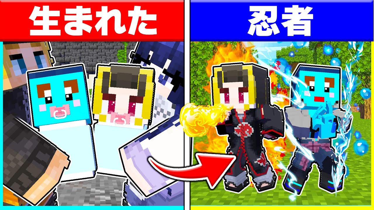 ⭐忍者の里に生まれた子供たちがプロ忍者になるまで！！【まいくら/マインクラフト】