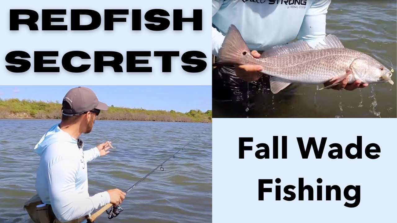 Redfish Secrets: Fall Wade Fishing
