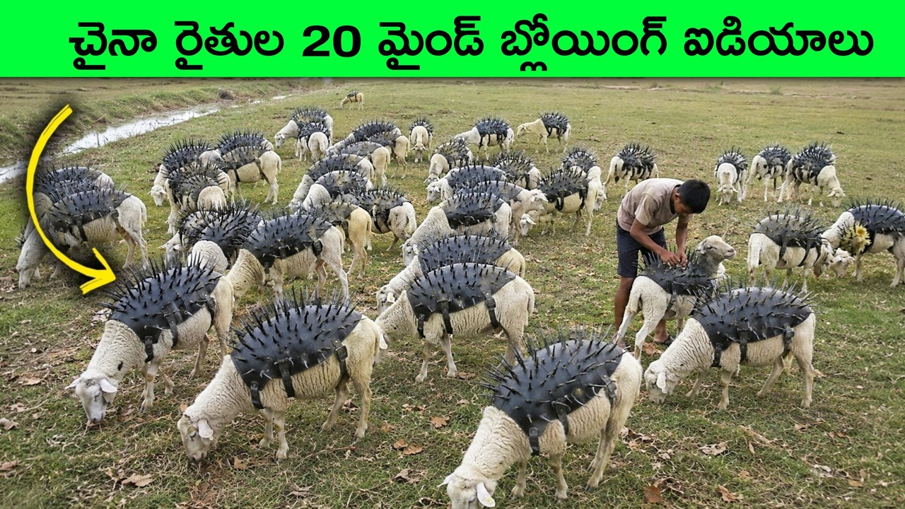 Top 20 Amazing Modern Farming Technologies & Tricks | Mind-blowing ideas of Chinese farmers | Telugu