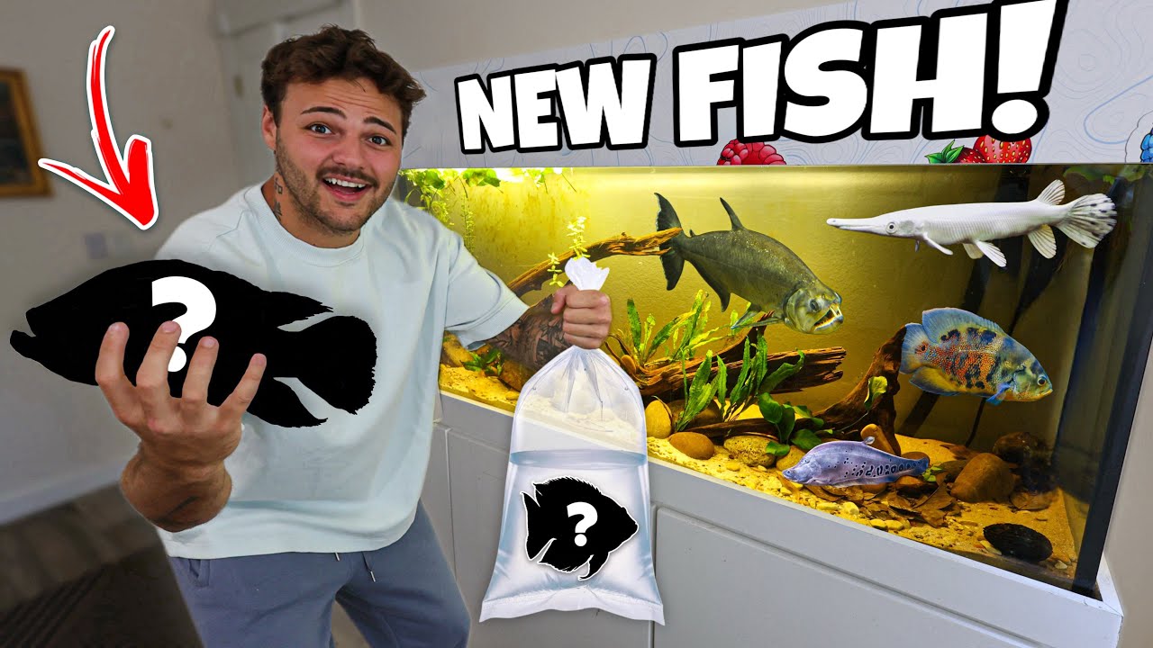 I Bought EXOTIC FISH for NEW 150G AQUARIUM!! (crazy)