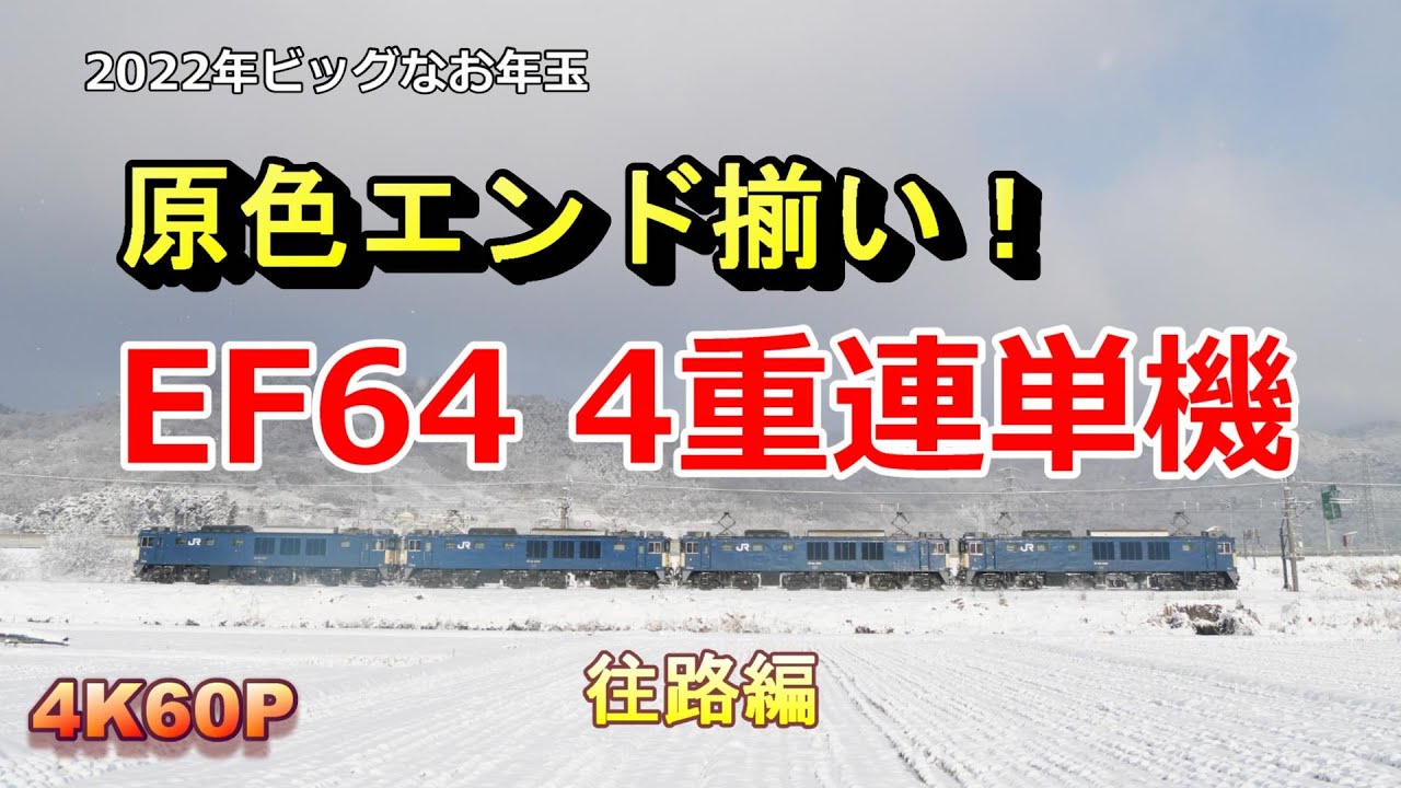 ドキッ！EF64 4重連単機 奇跡の原色エンド揃い 2022年お正月のビッグなお年玉 Part1
