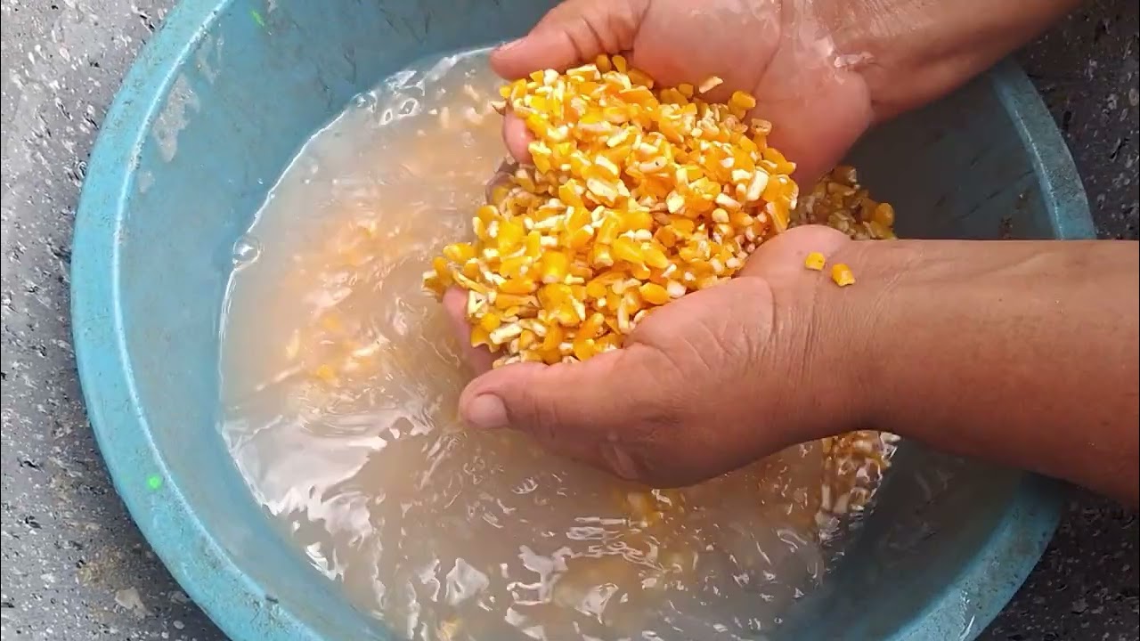 PISANDO MILHO PARA FAZER MUNGUNSA. 