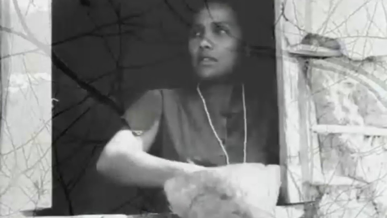 DEPOIMENTO DE MARIA RIBEIRO, ATRIZ DE CINEMA/ VIDAS SECAS - HOMENAGEADA NA CAMINHADA DOS ANJOS 2019