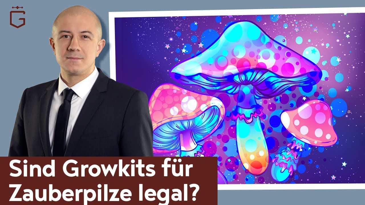 Sind Mushroom Growkits legal? Darf ich Growboxen f&uuml;r Zauberpilze in Holland bestellen?