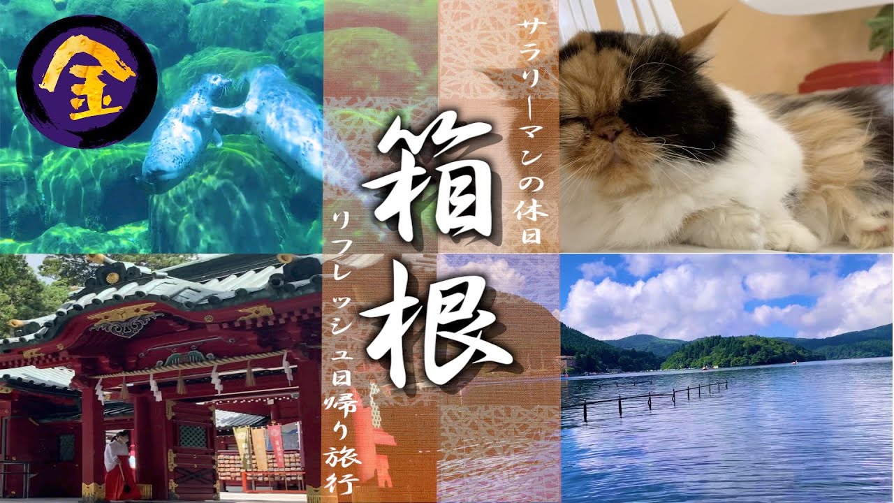箱根水族園-HAKONE AQUARIUM-🐠｜箱根日帰りドライブ旅行~箱根神社⛩とセットで~