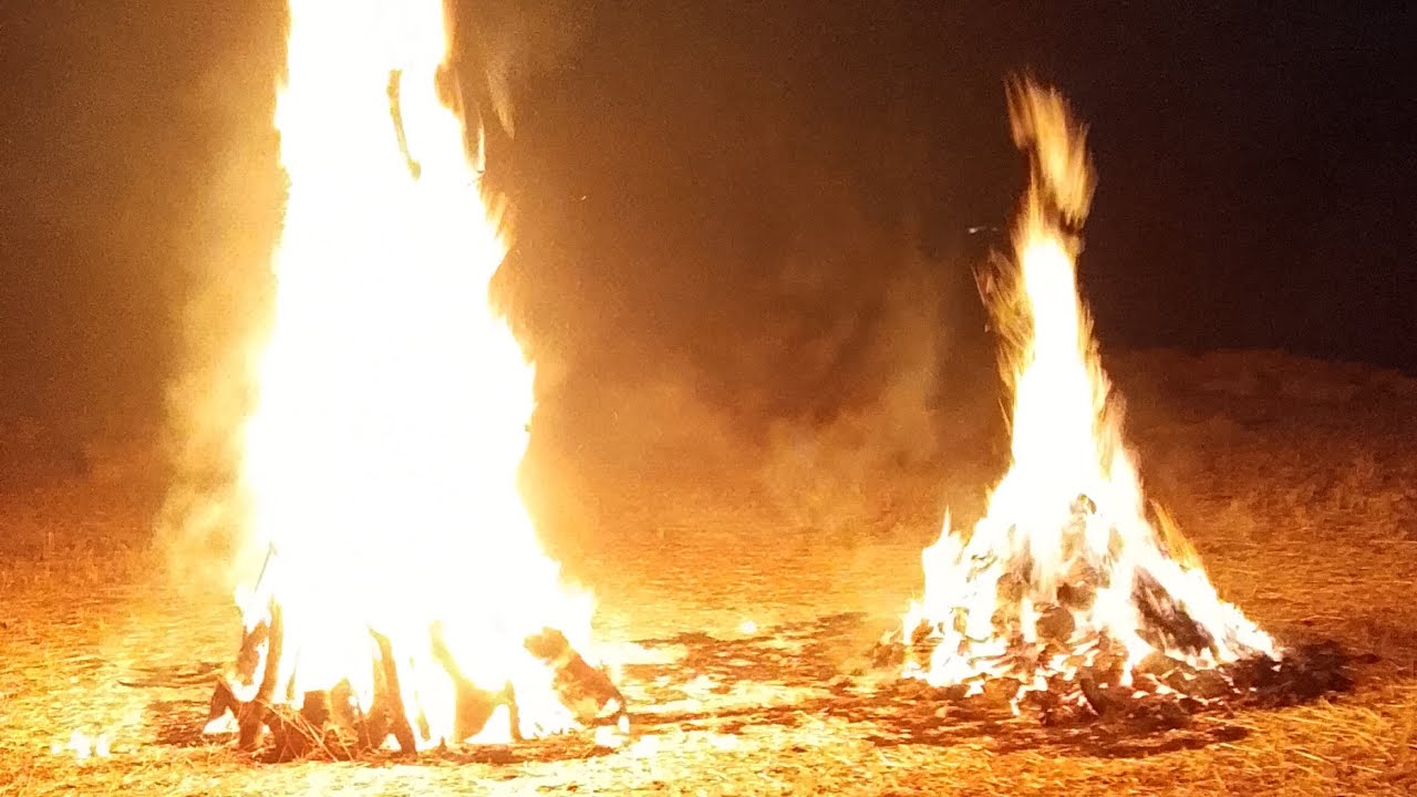 हमारे गाव की होली ऐसे बनाते है😂😂