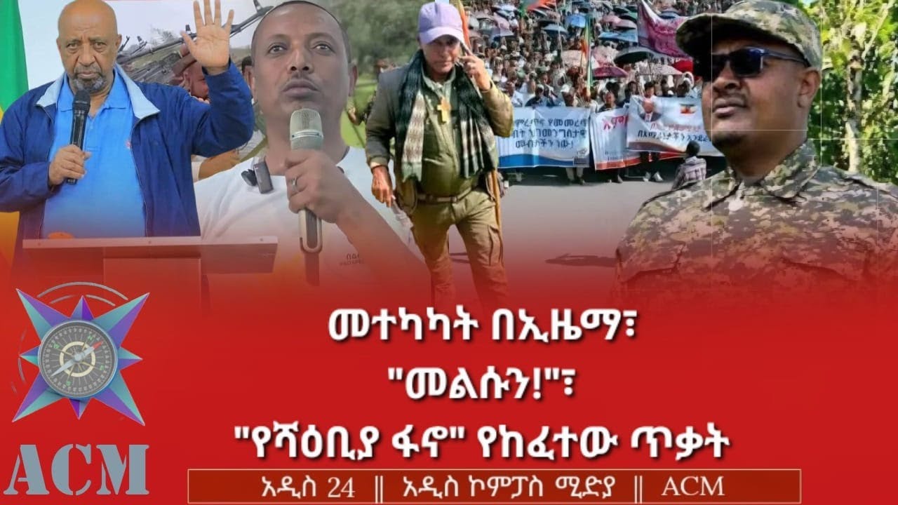 መተካካት በኢዜማ፣ 