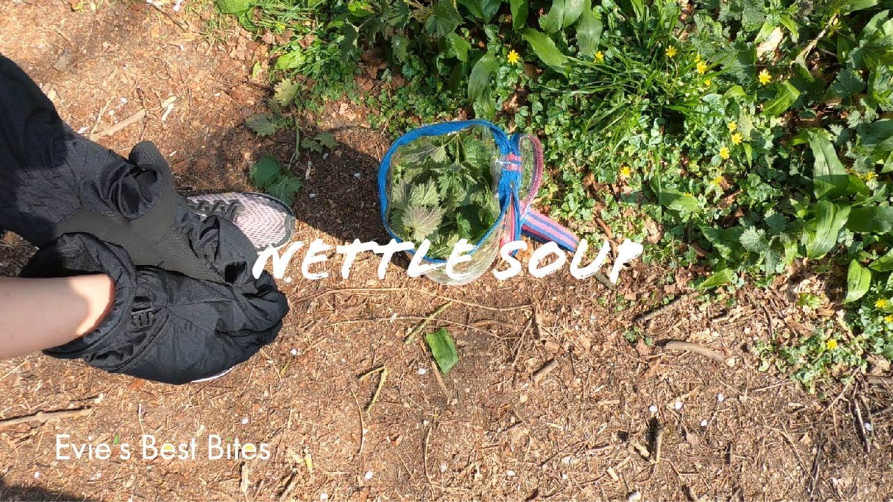 Fresh Nettle Soup - Forage For Your Lunch
