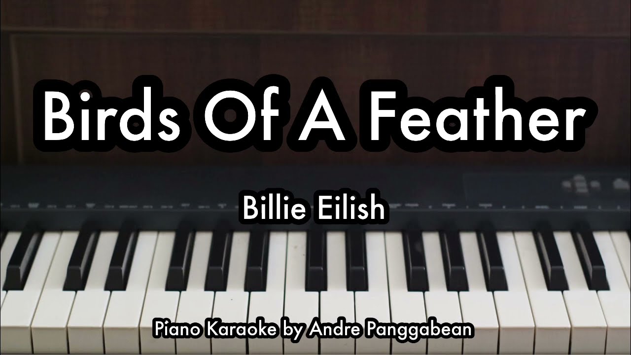 Birds Of A Feather - Billie Eilish | Piano Karaoke by Andre Panggaean