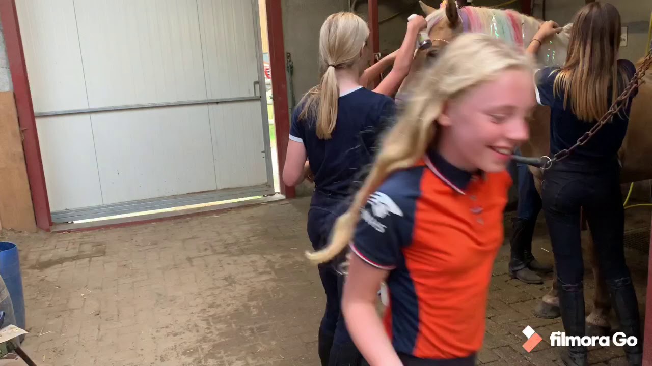 VLOG_18 PONYKAMP 2020 WEEK 1