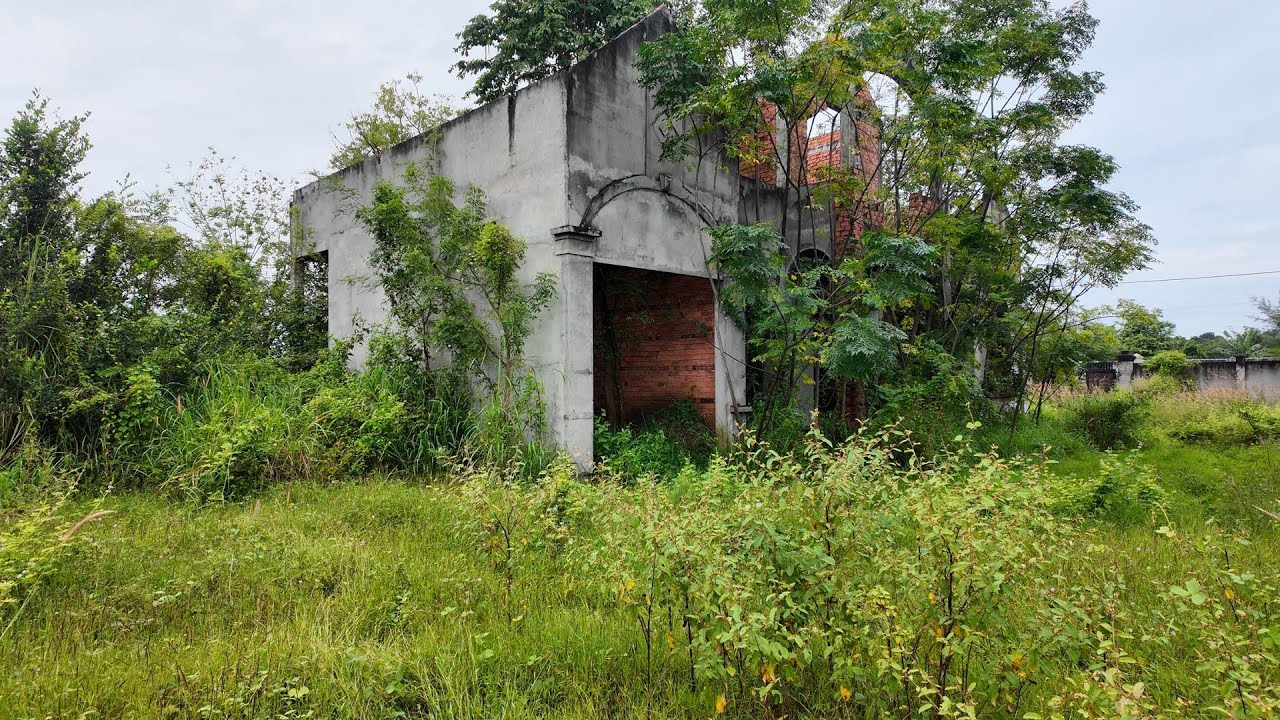 Abandoned Villa After 10 Years - An Incredible Journey of Revival