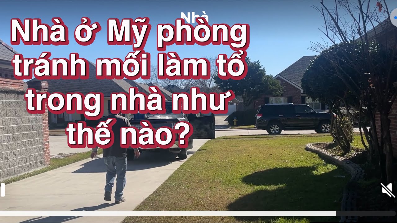 Cách diệt và phòng tránh mối phá hoại nhà ở Mỹ.