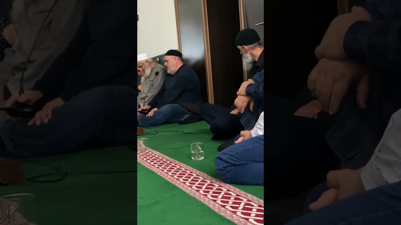 Маджалис мустафа убекинскаго