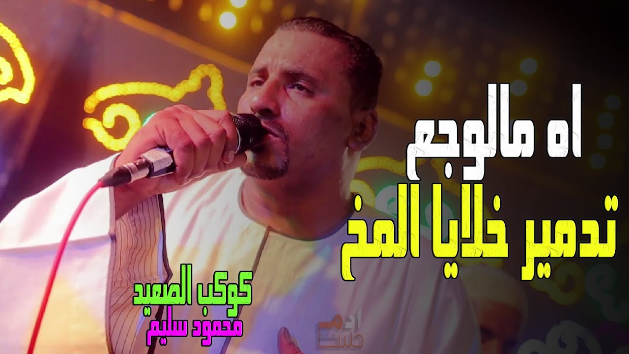 كوكب الصعيد محمود سليم || #اهـ_مالوجع 💔 فيديو تدمير خلايا المخ 🥺الكوكب فى حاله من الروقـــان 🤝❤