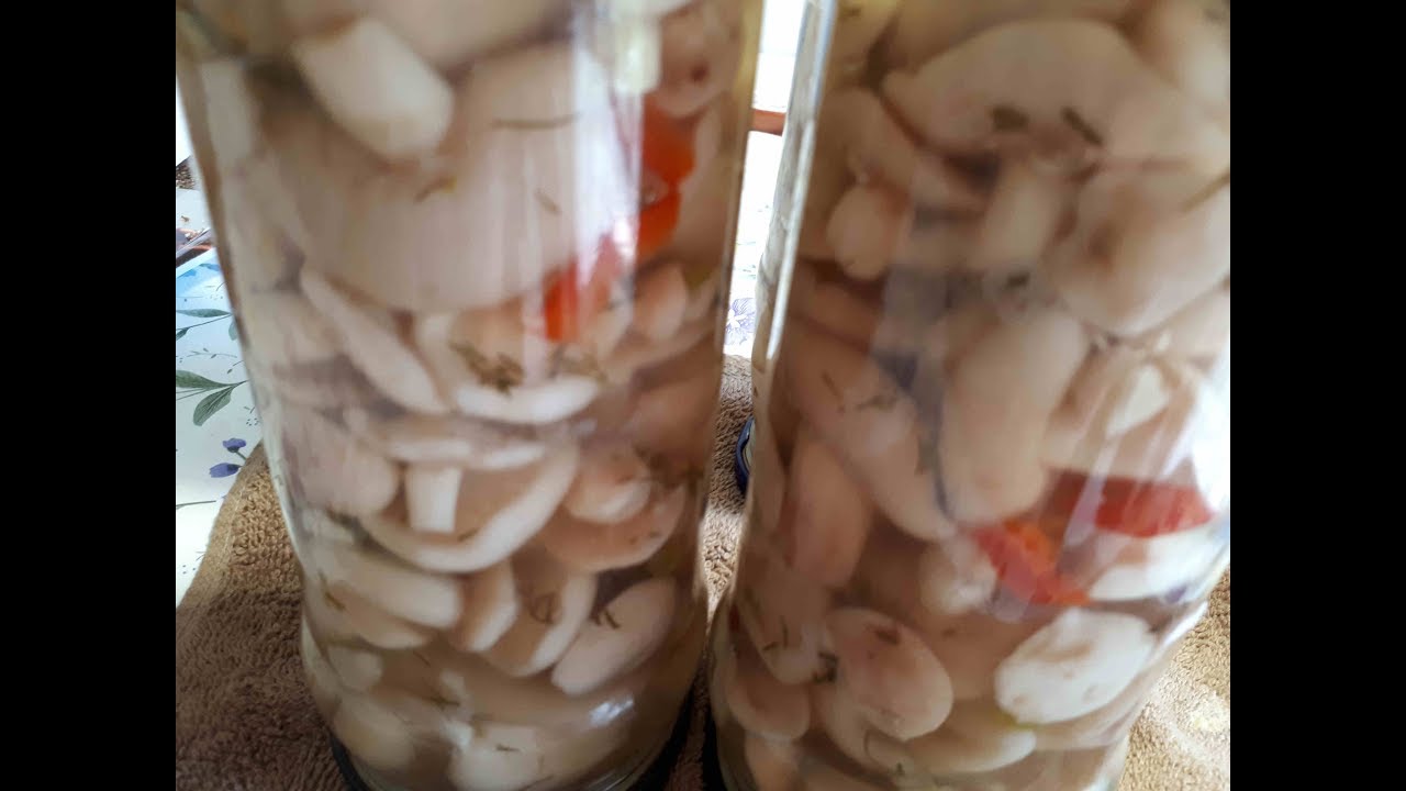 МАРИНУЕМ МАСЛЯТА! РАЗОЧАРОВАНИЕ ЛАРИСЫ!