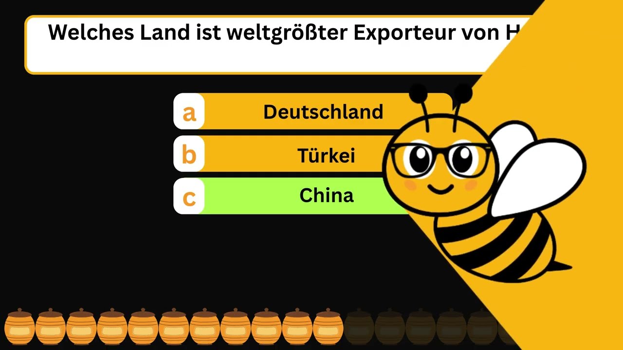 Allgemeinwissen Quiz: 20 Fragen aus Geographie, Technik, Sport und Natur