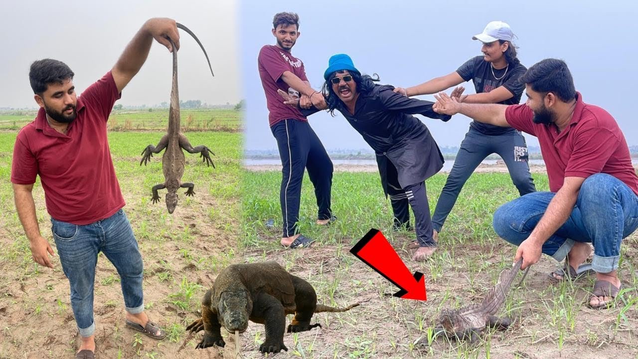 Indian lizard Ko azad Kar Diya😱Shaka Don Na Attack Kar Diya 😂
