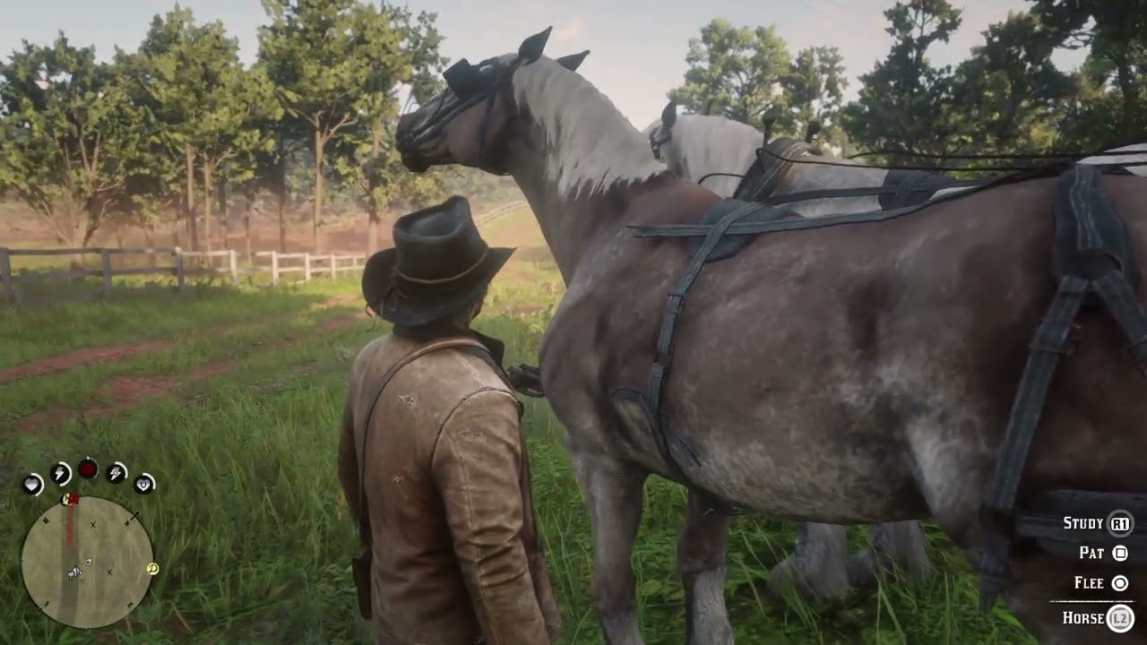 Red Dead Redemption 2