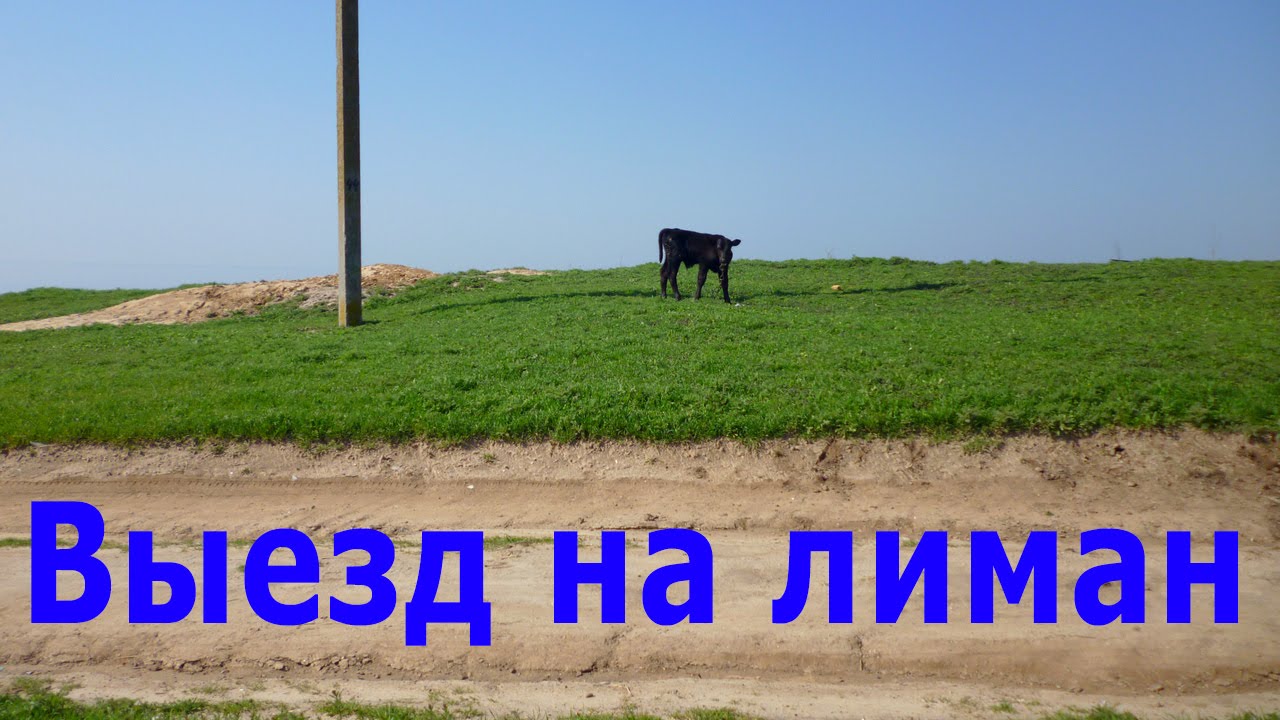 Лиман Южного Буга (Николаевка)