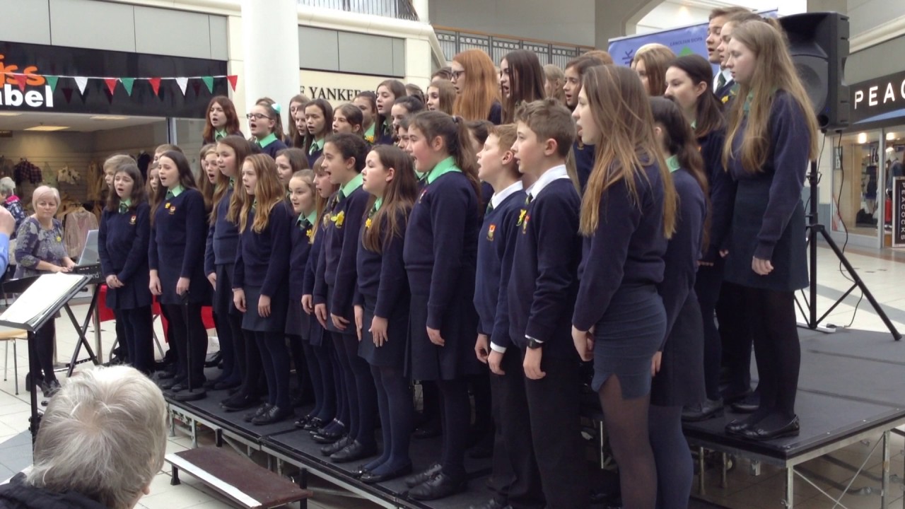 Ysgol Gyfun y Strade