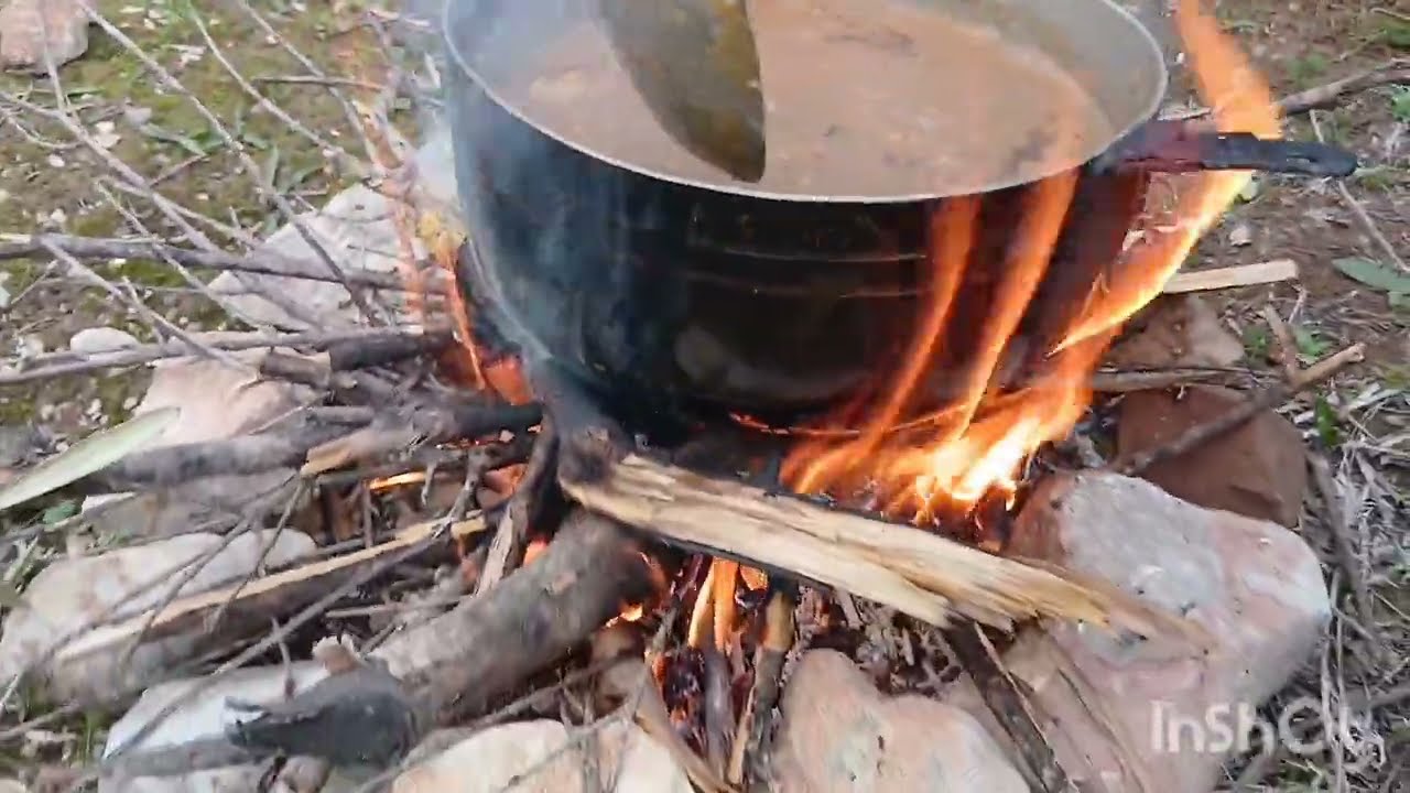 فيديو رائع يوم كامل في الغابة 🥰🧑‍🌾🥳 جمع الزيتون