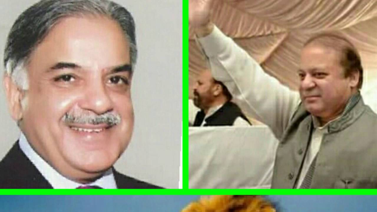 PMLN AJK