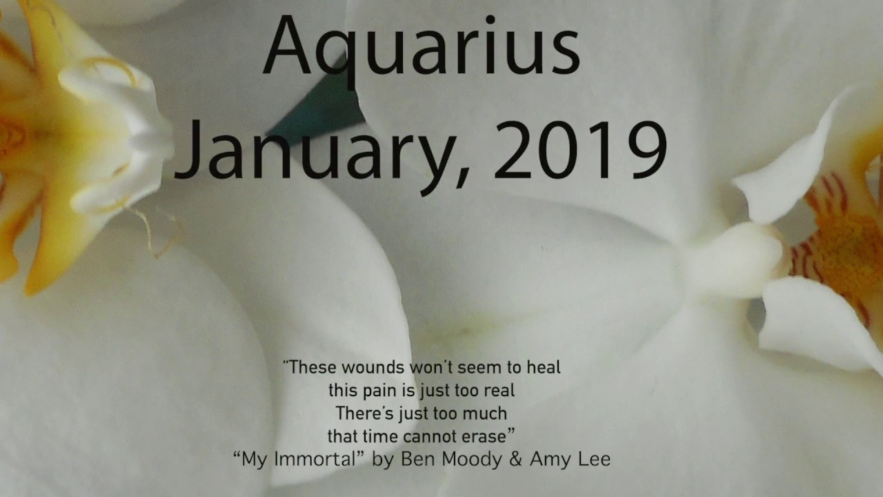 Aquarius JANUARY 2019 THEY DIDN'T MEAN TO HURT YOU! Tarot