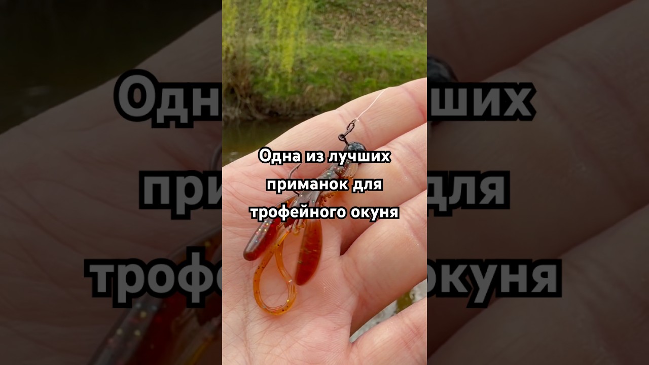 Ставь эту приманку и ты поймаешь трофейного окуня #angeln #fishing #спінінг #рыбалка #микроджиг