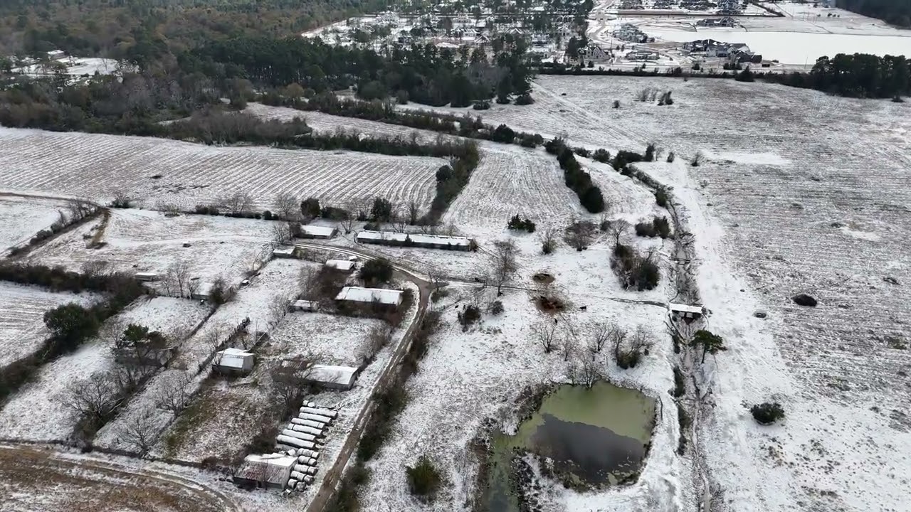 DJI 20250121132714 0434 D