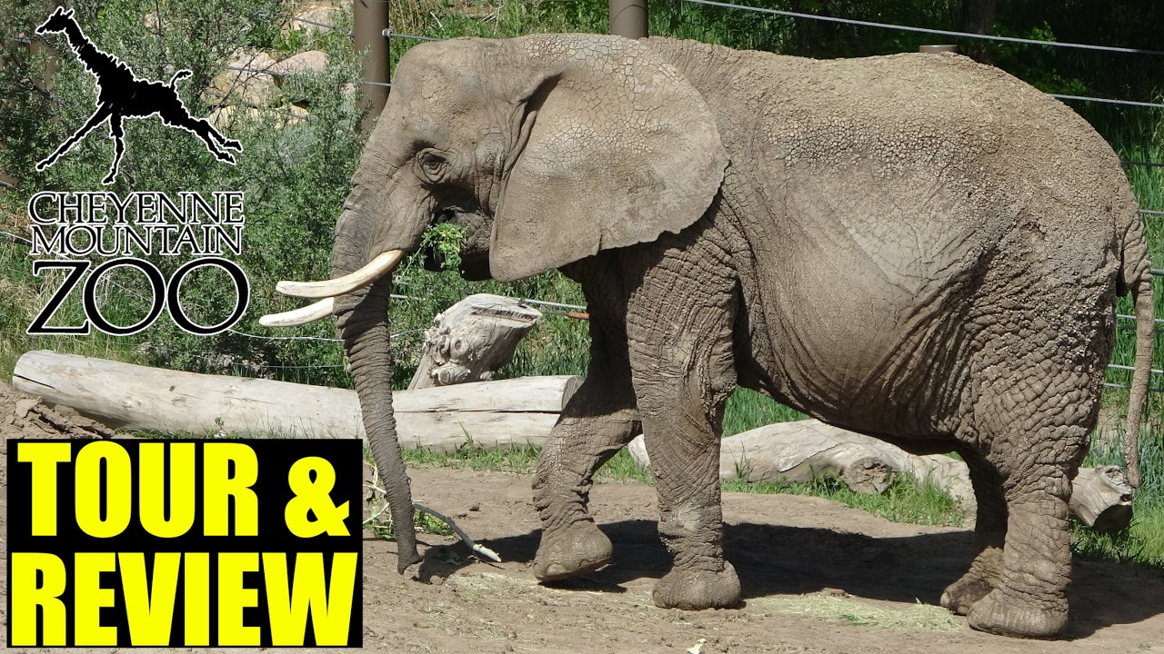 Cheyenne Mountain Zoo Tour & Review with The Legend