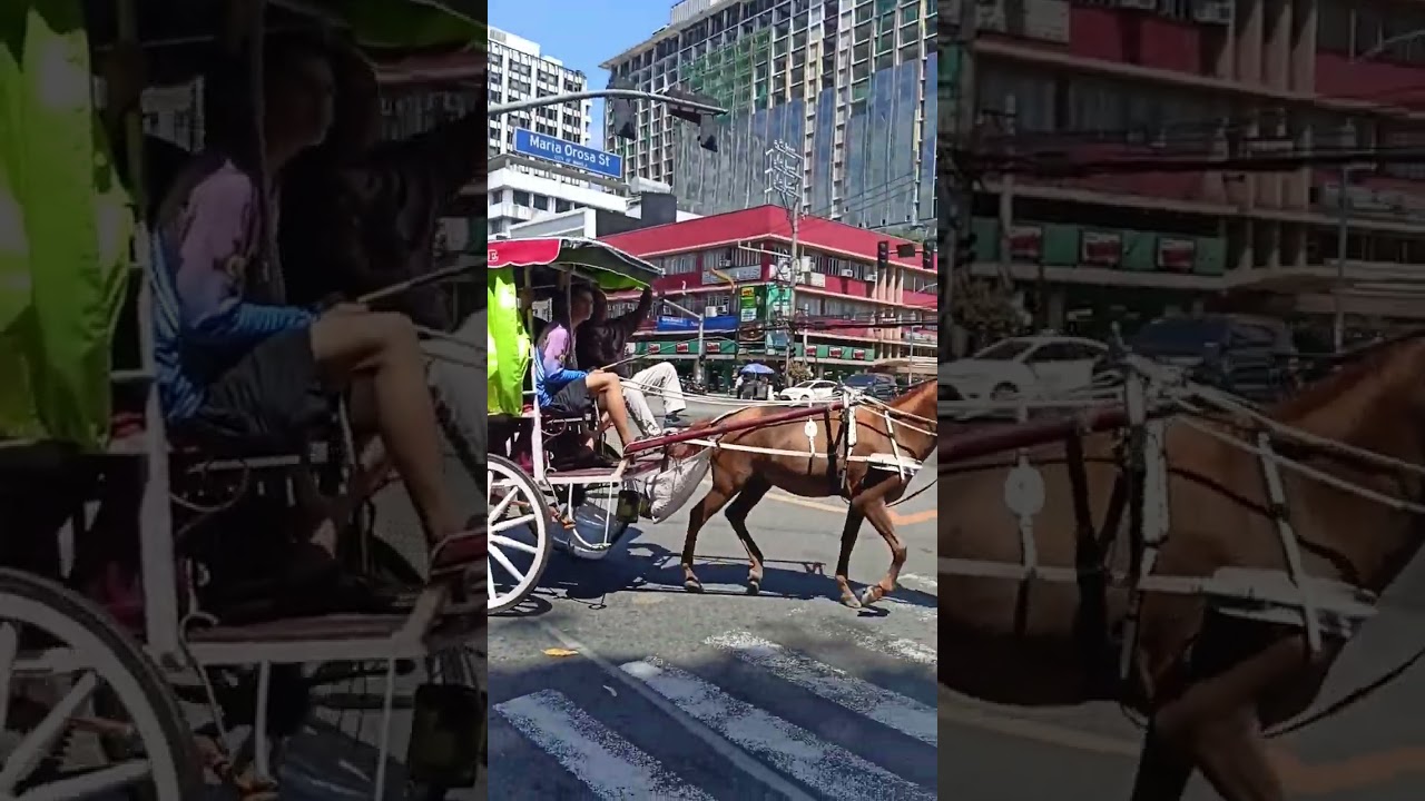 HORSE-DRAWN CARRIAGE/KALESA IN ERMITA, MANILA #filipinoculture #tourist #touristplace