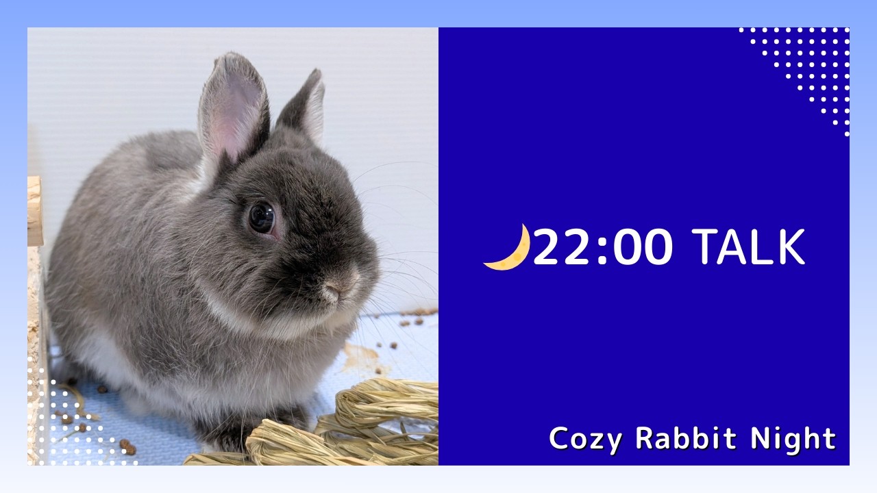 ウルフと過ごす夜 🐰 癒しのうさぎライブ｜Cozy Bunny Night Live