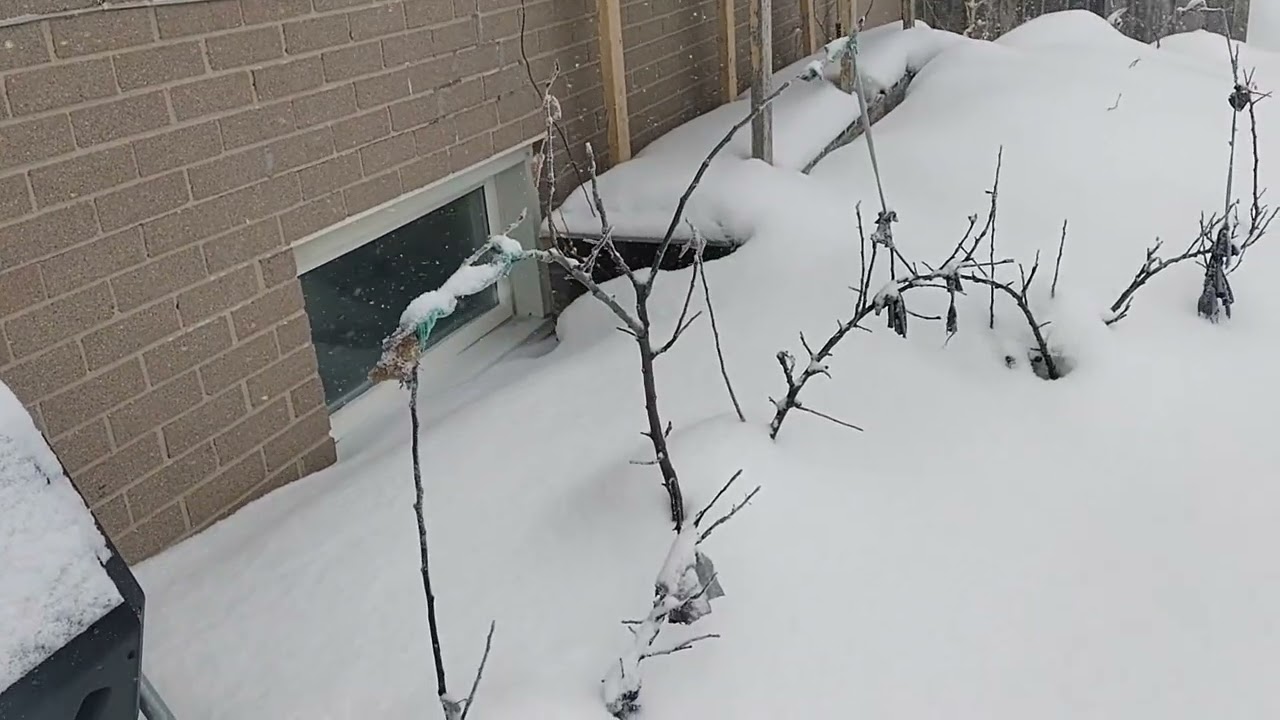 Snow Storm