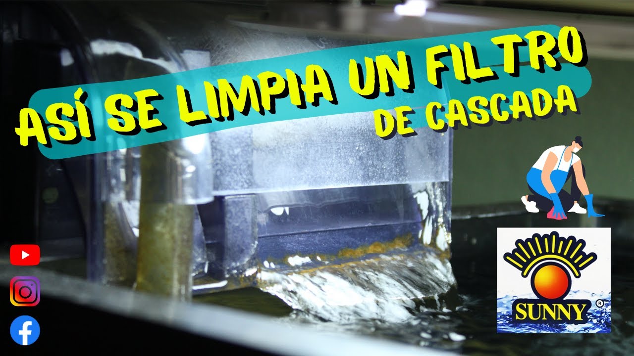 Así se limpia un filtro de cascada !!!!! Filtro Sunny Mantenimiento I The Fisher Tank I