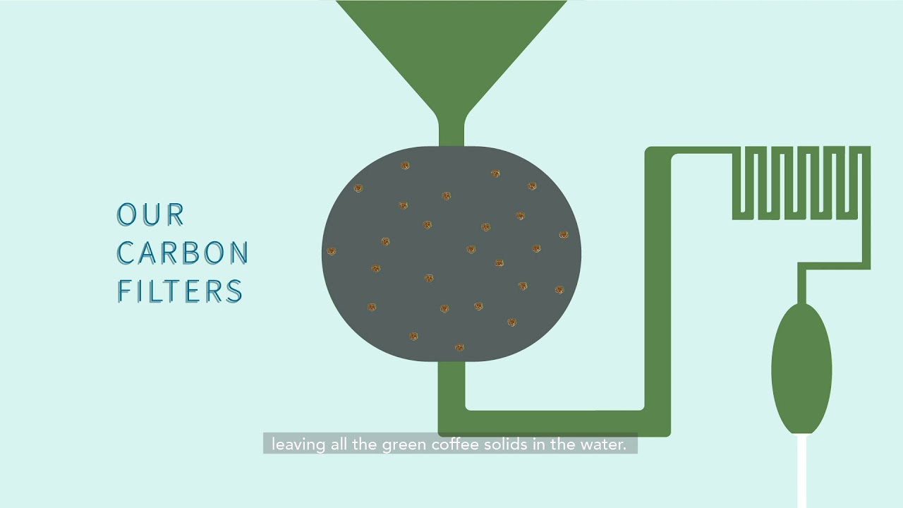 Green Coffee Extract FAQs: How and Why the Swiss Water&reg; Process Works