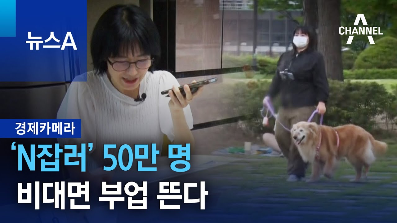 [경제카메라]&lsquo;N잡러&rsquo; 50만 명&hellip;비대면 부업 뜬다 | 뉴스A