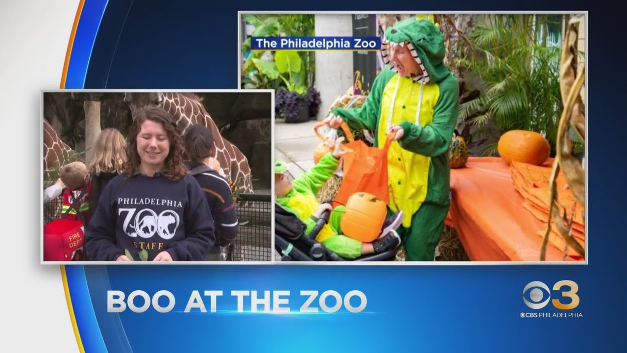 Philadelphia's Zoo's annual Boo at the Zoo returns