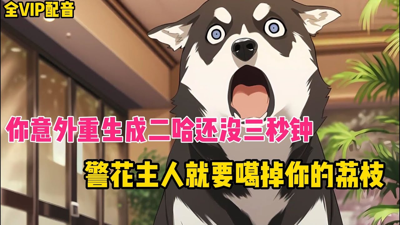 【一口气看完，全书VIP配音】重生成一只哈士奇，却觉醒SSS级警犬系统！#推文#小说#漫画