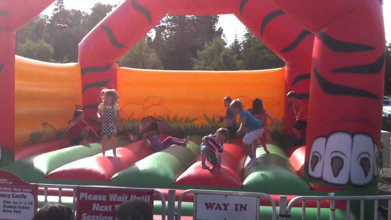 Bouncy Castle Fun